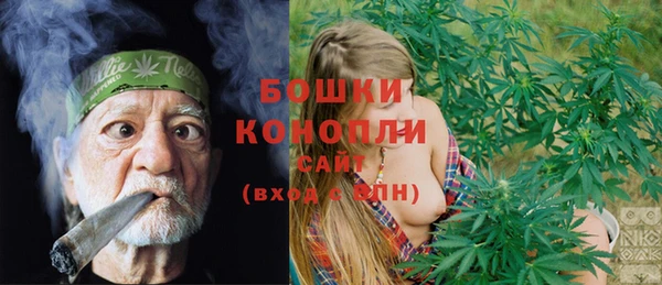 дживик Арсеньев