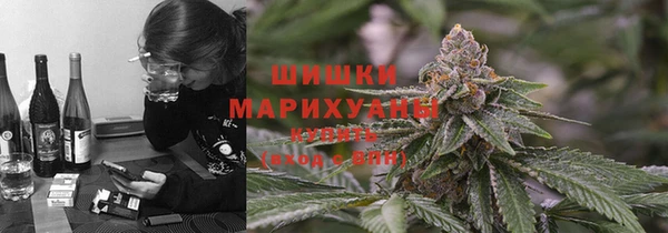 мдпв Снежинск