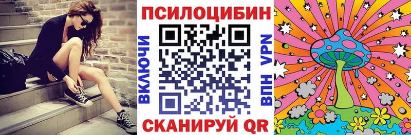 Галлюциногенные грибы Psilocybe  Артёмовский 