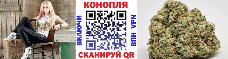 МАРИХУАНА гибрид  Артёмовский 